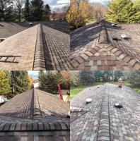 Guelph Roofer image 1